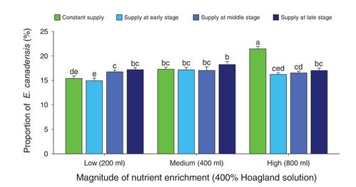 揭示資源脈沖對植物入侵影響機制，武漢植物園研究獲新進展