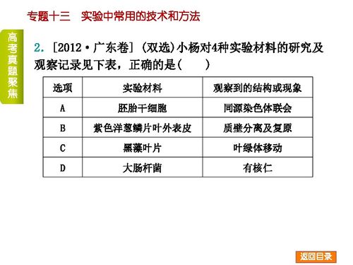 2014屆高考生物二輪復(fù)習(xí)專題十三 實(shí)驗(yàn)中常用的技術(shù)