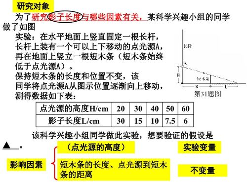 科學探究專題 對比實驗設計——自然科學研究的基石與引擎